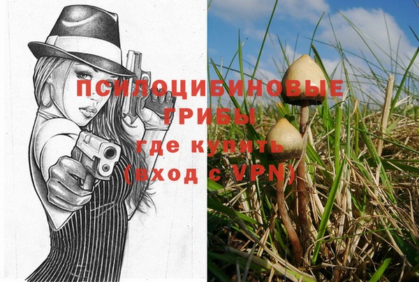 гашик Алзамай