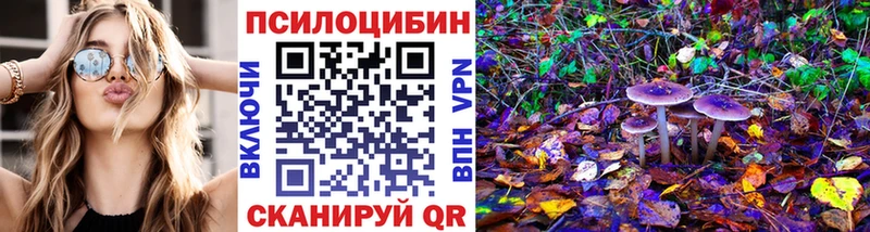 где купить наркоту  Каневская  Галлюциногенные грибы Magic Shrooms 